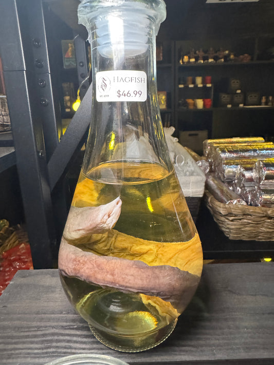 Hagfish - Wet Specimen - Potion