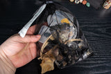Bugs and Bones Scoop Bags