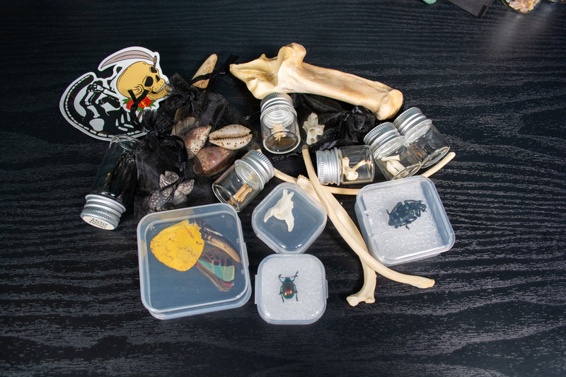 Bugs and Bones Scoop Bags