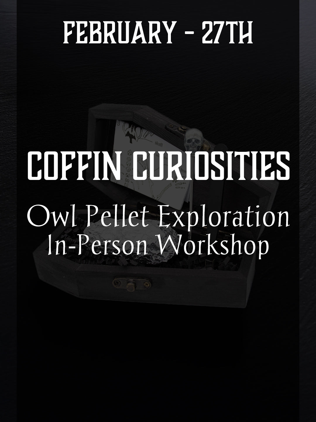 Coffin Curiosities: Owl Pellet Exploration