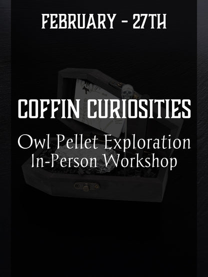 Coffin Curiosities: Owl Pellet Exploration