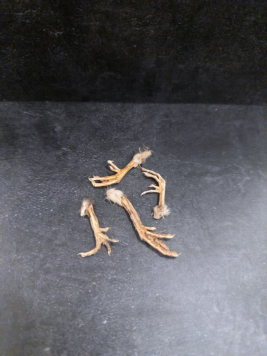 Mummified Chicken Feet