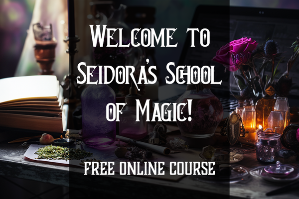 Welcome to Seidora's School of Magic!