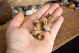 Acorn Cap Bag - Seidora