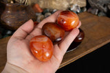 Carnelian: Palm Stones Small (AA) - Seidora