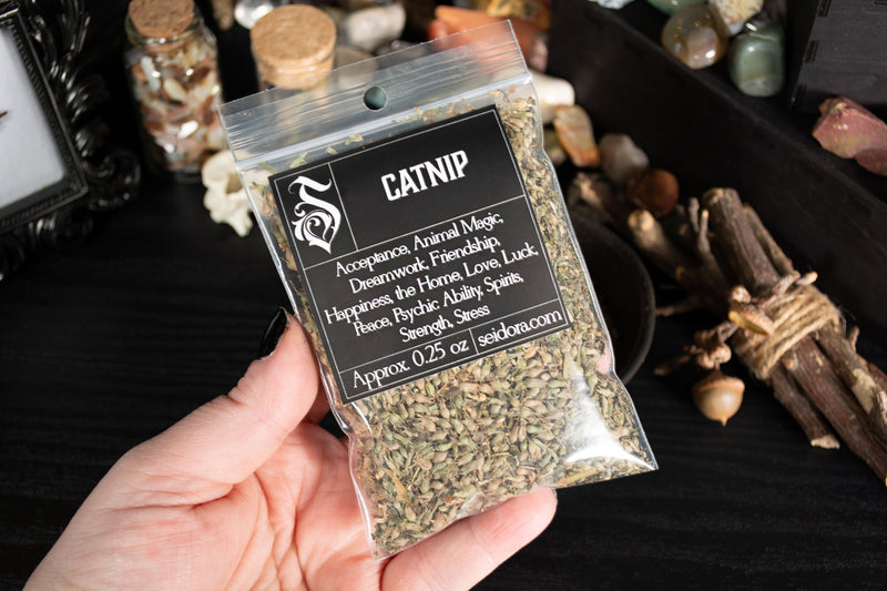 Catnip