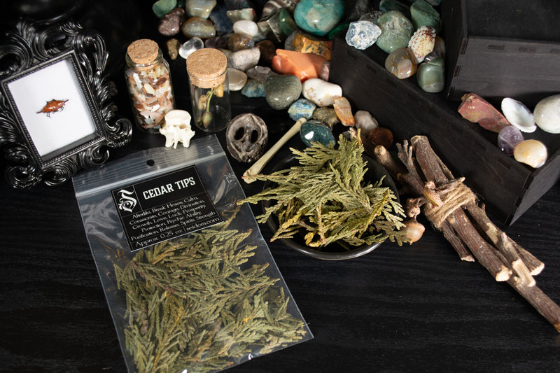 Cedar Tips