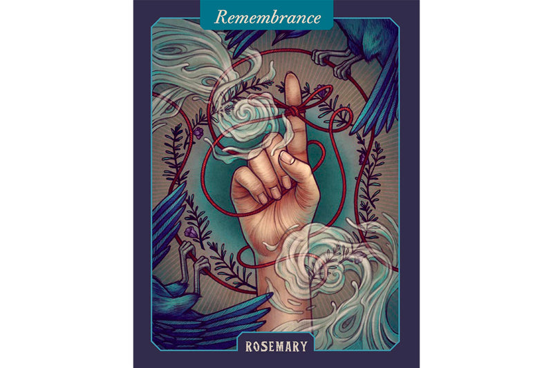 The Illustrated Herbiary Oracle Cards