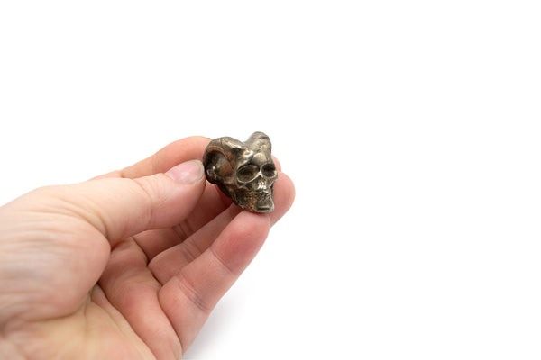 Carved Pyrite Horned Devil Skull