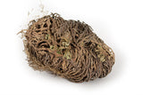Rose of Jericho - Seidora